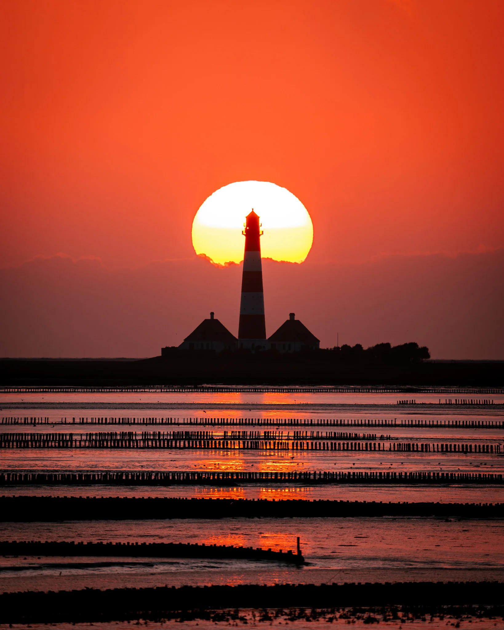Naturfotografie Kempten – Nebliger Wald im Herbstlicht